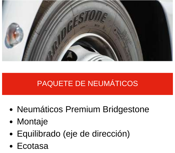 paquete de neumaticos