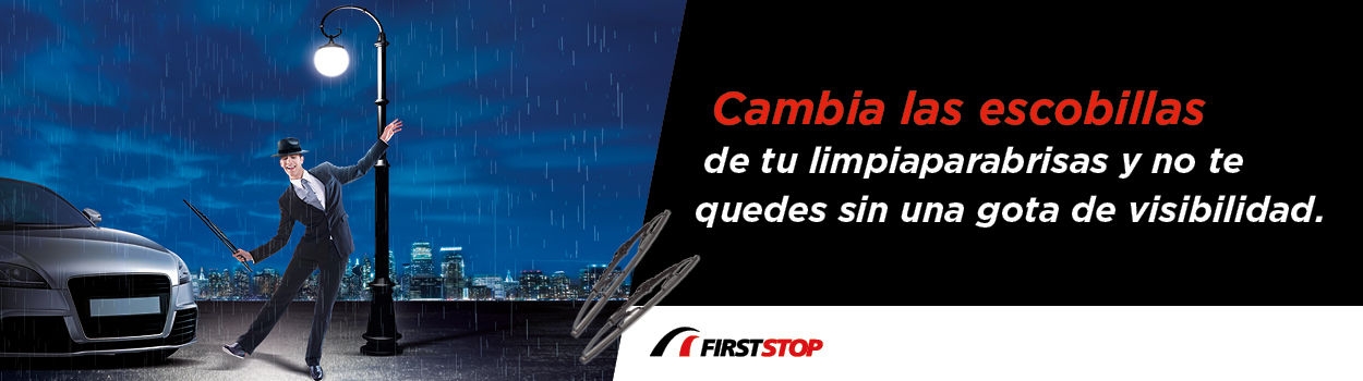 Promoción cambio de escobillas